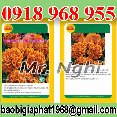 In túi hạt giống| baobigiaphat.vn