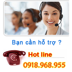 Hỗ trợ trực tuyến