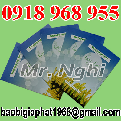 In túi trà túi lọc 2g| baobigiaphat.vn