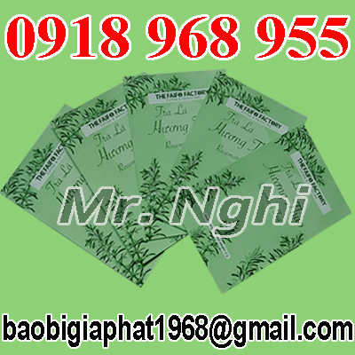 In túi trà túi lọc| baobigiaphat.vn