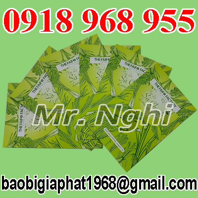 In túi trà túi lọc| baobigiaphat.vn