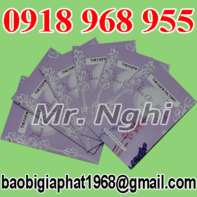 In túi trà túi lọc| baobigiaphat.vn