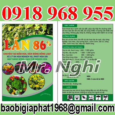 In túi phân bón| baobigiaphat.vn