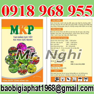 In túi phân bón| baobigiaphat.vn
