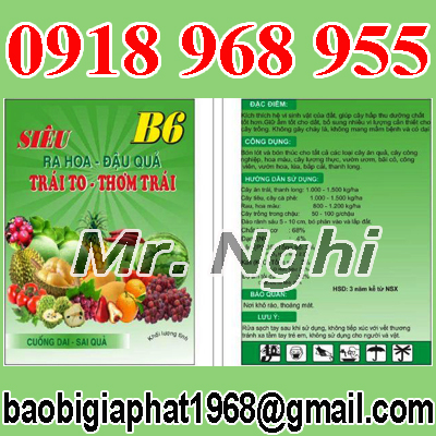 In túi phân bón| baobigiaphat.vn